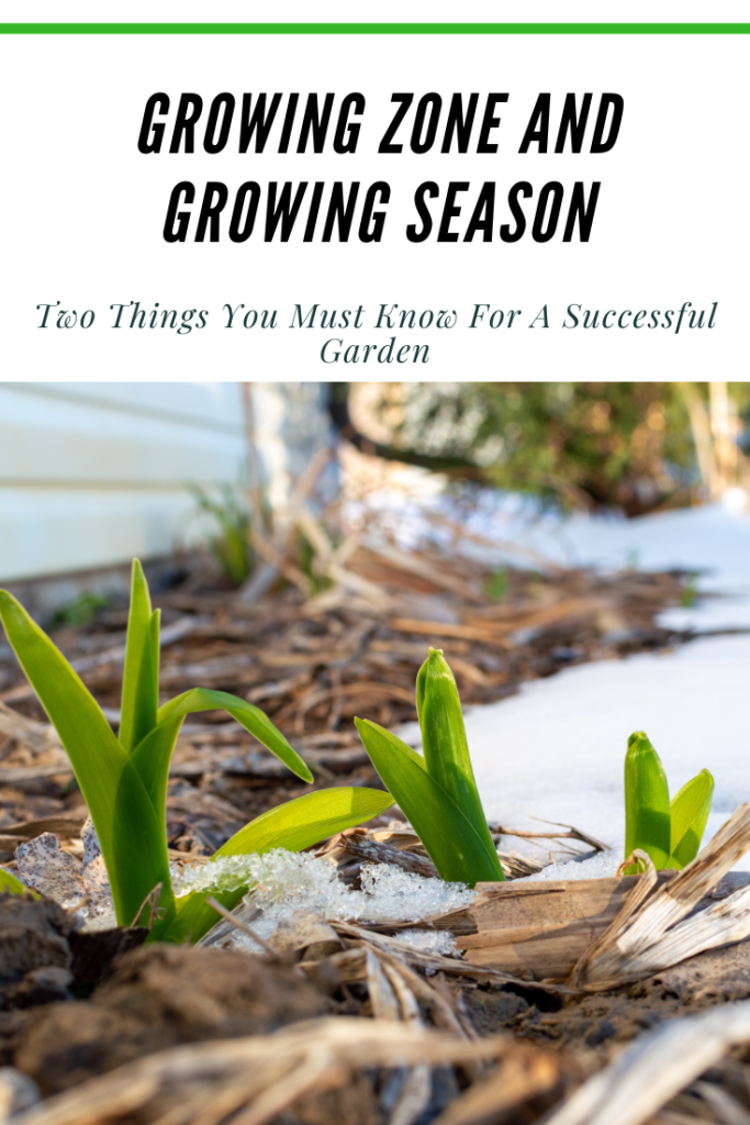 You've probably ran into terms like "growing zone" and "growing season" when deciding which plants to add to your garden? Both of these are extremely helpful to know, but what exactly do they mean. And more importantly - what impact does your growing zone and growing season have on plant performance in your garden. 
#gardeninspiration #gardeningtips #gardeningforbeginners